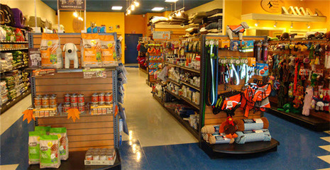 英國在線寵物用品銷售熱潮 商鋪旺鋪現象解析