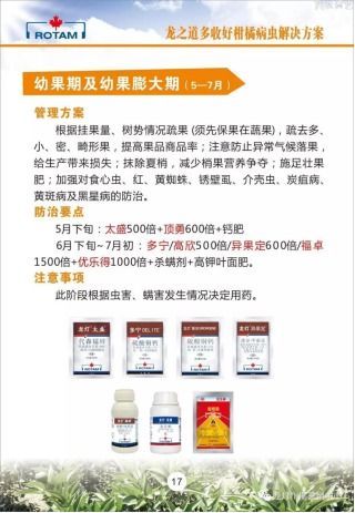 龍燈化學 深耕農業，以技術推廣服務為農賦能